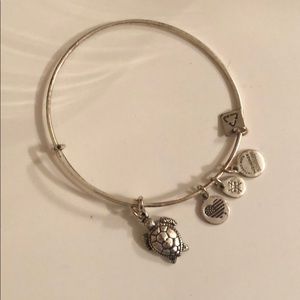 Silver Turtle Alex and Ani Bracelet